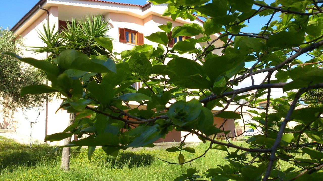 Borgo Marinaro Bed & Breakfast Marina di Camerota Exterior foto