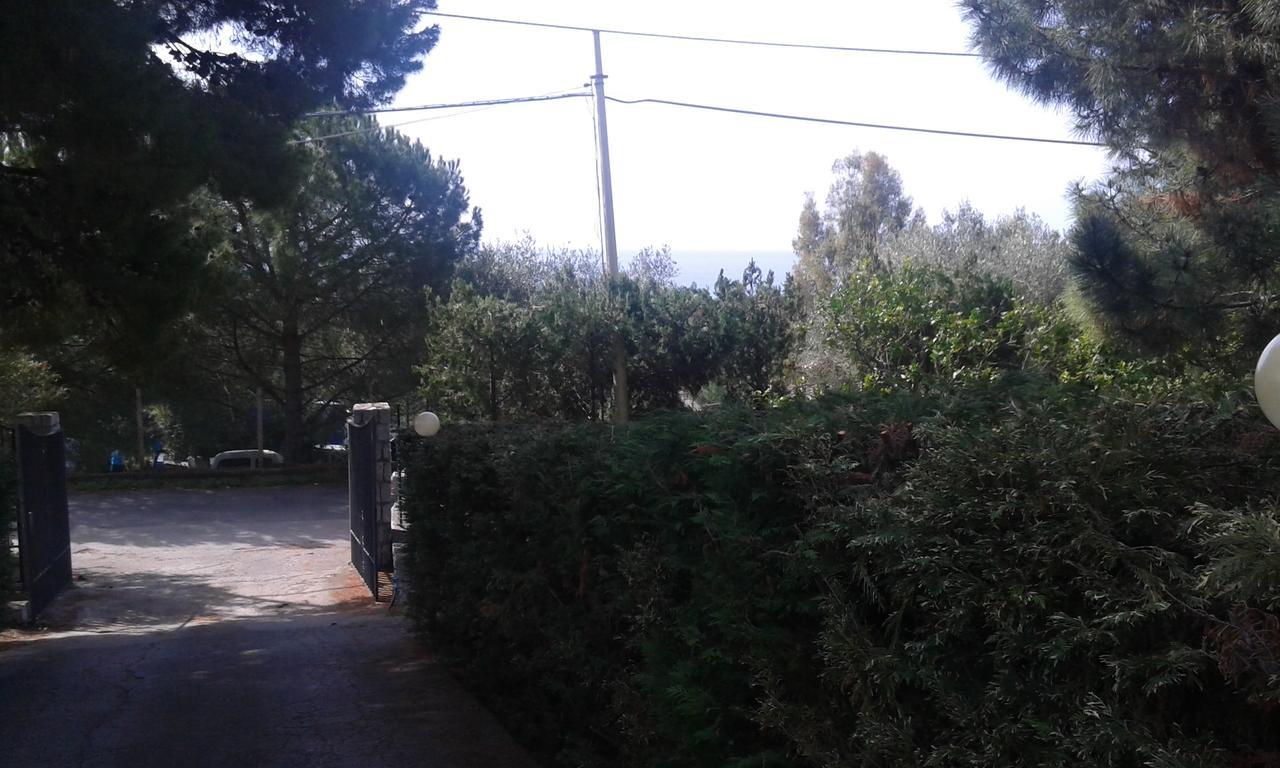 Borgo Marinaro Bed & Breakfast Marina di Camerota Exterior foto